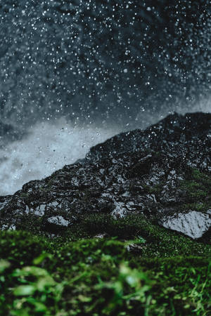 在暴風雨的森林場景中，雨滴落在長滿苔蘚的岩石上