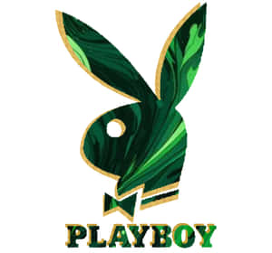 帶有綠色大理石圖案和金色邊框的Playboy標誌 — Playboy GIF 壁紙