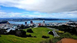 海岸城市景觀，有綠色山丘同蜿蜒道路俯瞰藍色海灣。