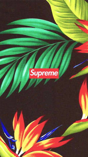 深色背景上的熱帶花卉和樹葉，帶有紅色 Supreme 標誌。