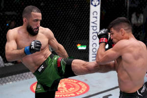 兩名男性MMA拳手在八角籠中，在UFC比賽中交換高踢和阻擋。