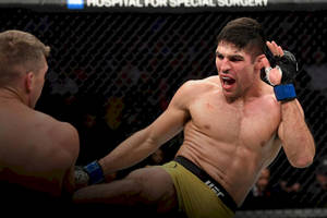 MMA拳手在比賽中於UFC八角籠內執行高踢。