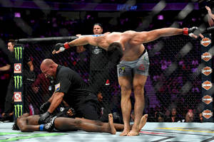 UFC拳手在八角籠中戰勝對手後站立