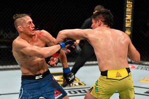 兩名MMA拳手在血跡斑斑的UFC八角籠中互相出拳。