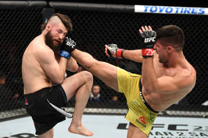兩名男性MMA拳手在八角籠中，一人踢腿，另一人阻擋。