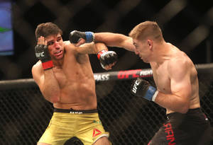 兩名男性拳手在UFC比賽中於八角籠內互相出拳。