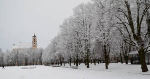 白雪覆蓋的公園，光禿禿的樹木和遠處的教堂塔樓。 — 冰雪城堡 壁紙