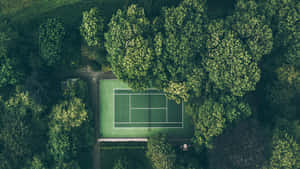 從高空俯瞰，被茂密綠樹環繞的網球場。
