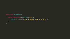 Java代碼片段，以色彩繽紛的語法高亮顯示'In code we trust'標語。 — 程式碼 壁紙