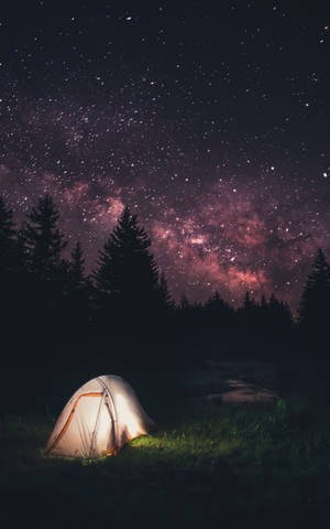 夜晚森林中一頂亮著的帳篷，星空下銀河閃耀