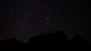 黑暗森林剪影在星夜天空下，可見星座。 — 夜空 壁紙