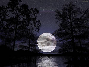 滿月懸在湖上，樹木剪影襯托著繁星夜空。