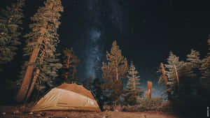 松樹林中星空下的露營帳篷。