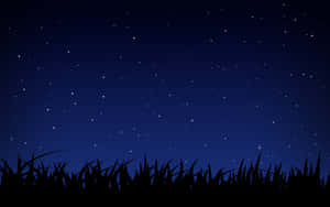 草剪影上方的星空夜空