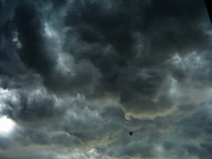 一隻鳥在烏雲密佈、金光閃爍的暴風雨天空下飛翔。 — 夜空 壁紙