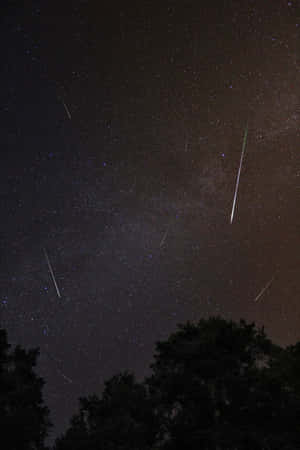 流星雨劃過繁星點點的夜空，下方是黑暗的樹木剪影。 — 小米Pad 8 壁紙