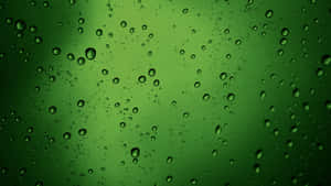 帶有雨滴和柔和光線反射的綠色玻璃 — 綠色動態圖 壁紙