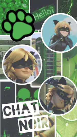Cat Noir 動漫角色的拼貼畫，帶有綠色爪印和青檸片。