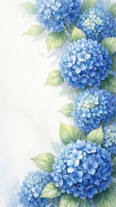 白色背景上的藍色繡球花和綠葉。