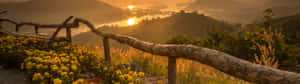 夕陽照耀霧氣繚繞的山巒、河流和木柵欄後的黃色花朵