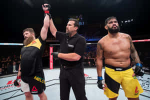 UFC拳手贏得比賽，裁判舉起他的手慶祝勝利