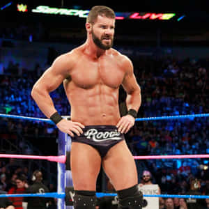 摔角手 Roode 在 WWE 現場活動期間站在擂台上，背景有觀眾。 — 摔角 GIF 壁紙