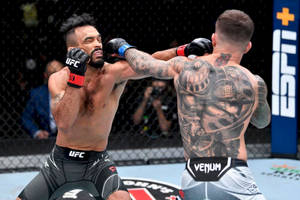 兩名男性拳手戴著MMA手套在八角籠內互毆。