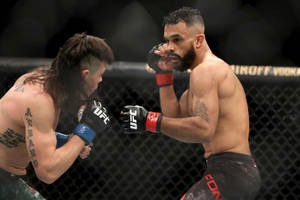 兩名男性MMA拳手在籠中比賽時互換拳擊。