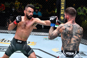 兩名男性MMA拳手在八角籠中進行比賽。