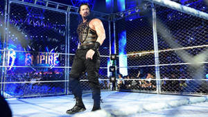 Roman Reigns 在 WWE 鋼鐵籠賽事中，粉絲歡呼