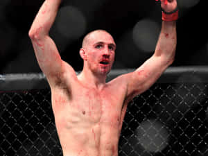 一名渾身是血的勝利MMA戰士在八角籠內高舉雙臂。