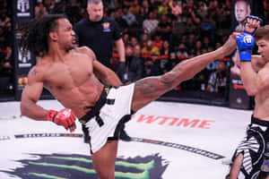 MMA拳手在比賽中於觀眾面前執行高踢。 — 拳擊 壁紙