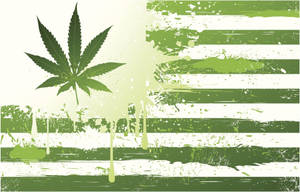 大麻葉在髒污的美國國旗上滴下綠色油漆。