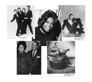 五張1960年代音樂家黑白肖像的拼貼，包括The Four Seasons和Aretha Franklin。 — 拼貼 GIF 壁紙