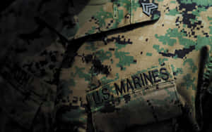 迷彩制服布料上的美國海軍陸戰隊徽章