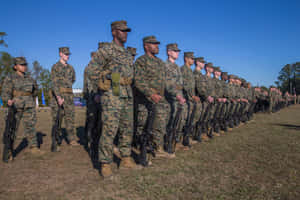 一列身穿制服的海軍陸戰隊員在戶外草地上持步槍。