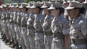 身穿沙漠迷彩制服的女海軍陸戰隊員在戶外列隊。