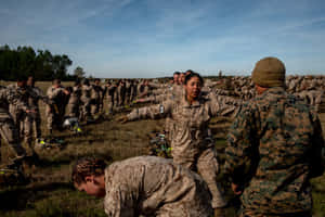 身穿迷彩制服的海軍陸戰隊員在戶外草地上訓練。