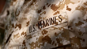 沙漠迷彩制服上的美國海軍陸戰隊徽章