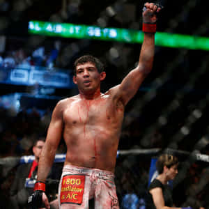 MMA拳手血染上身，在八角籠內舉拳勝利。 — 冠軍 壁紙