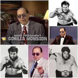 Gorilla Monsoon 以各種摔角姿勢和正式服裝亮相，包括太陽眼鏡和冠軍腰帶。