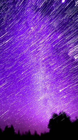 紫色的星軌在夜晚黑暗的森林剪影上拱起。 — 紫色美學 壁紙