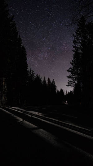 在繁星點點的夜空下，一條黑暗的森林道路，松樹的剪影清晰可見。