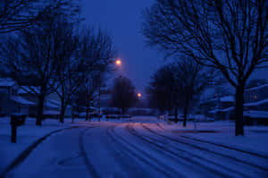 夜晚的雪街，光禿禿的樹木和發光的街燈。