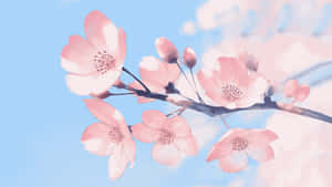 枝頭上的粉紅櫻花襯托著藍天 — 唯美花朵動圖 壁紙