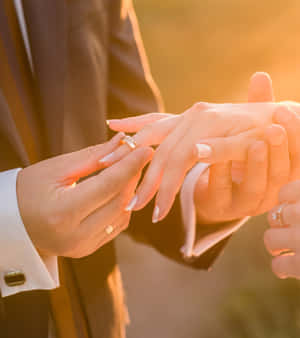 新郎在金色陽光下將結婚戒指戴在新娘的手指上。