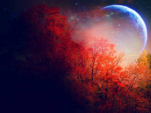 秋樹在藍色行星下，於星光燦爛的夜空中閃耀。 — 唯美月亮動圖 壁紙