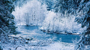 白雪覆蓋的森林，一條藍色河流蜿蜒穿過