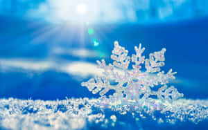 一片細節豐富的雪花在明亮的陽光下，以藍天為背景，靜靜地躺在雪地上。