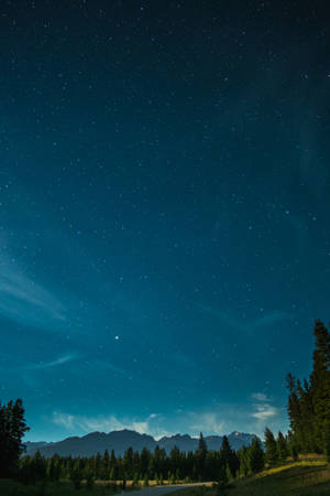 繁星點點的夜空，極光在山脈和松樹上空。